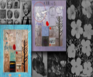 Where Is the Boundary between Artwork Recreation and Plagiarism