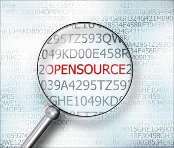 Guarding Openness with Private Rights: The Significance, Key Points and Strategies of Open-source Trademark Protection