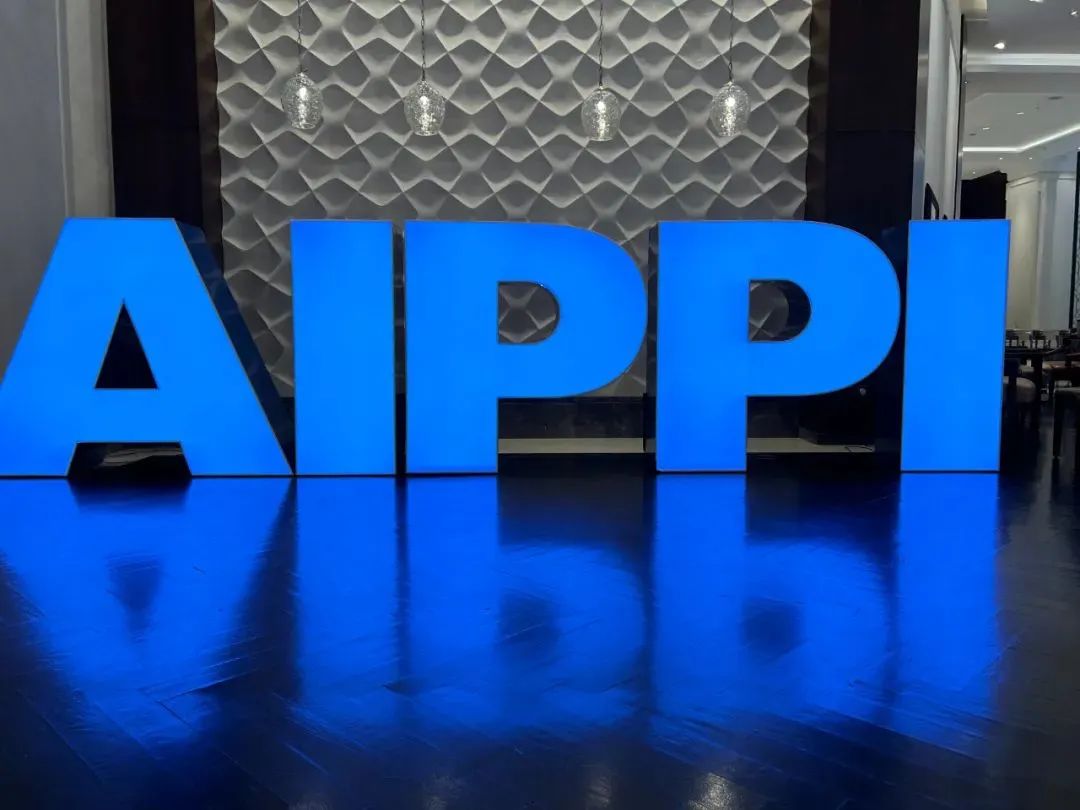 AIPPI世界知识产权大会申办之悲情伊斯坦布尔